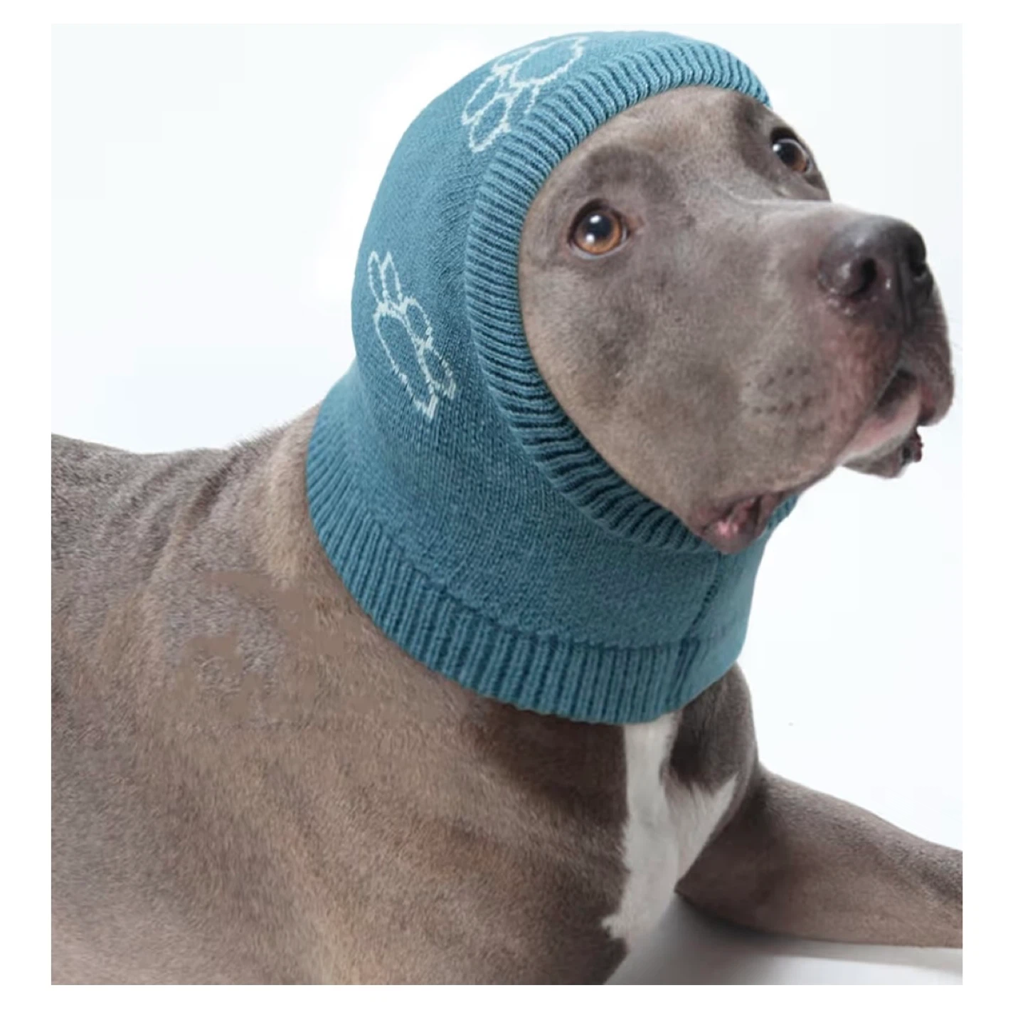 Dog Snood - Anxiety Relief - Size S - photo 2