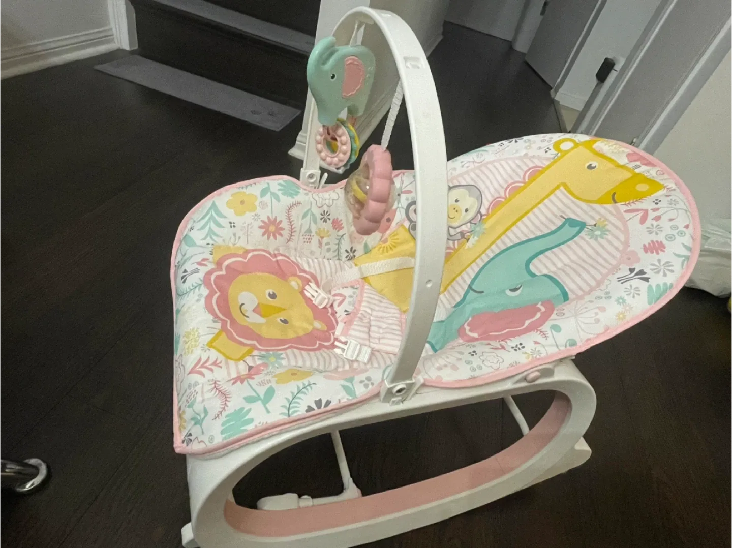 Fisher-Price Baby Bouncer Seat 🥕 image indicator(3)