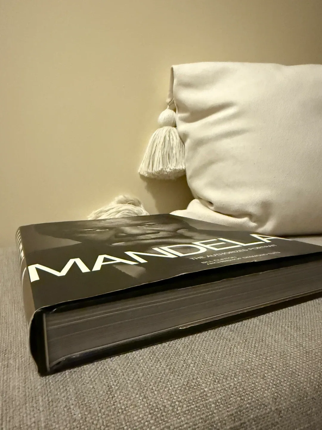 Mandela: The Authorized Portrait Book image indicator(6)