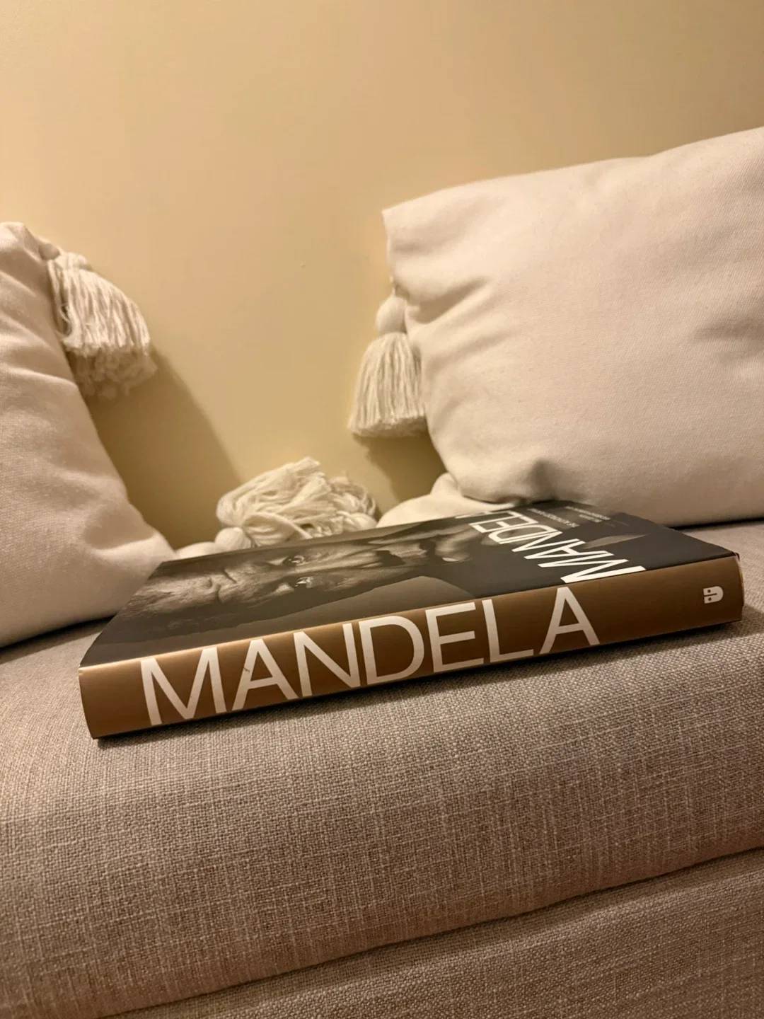 Mandela: The Authorized Portrait Book image indicator(2)