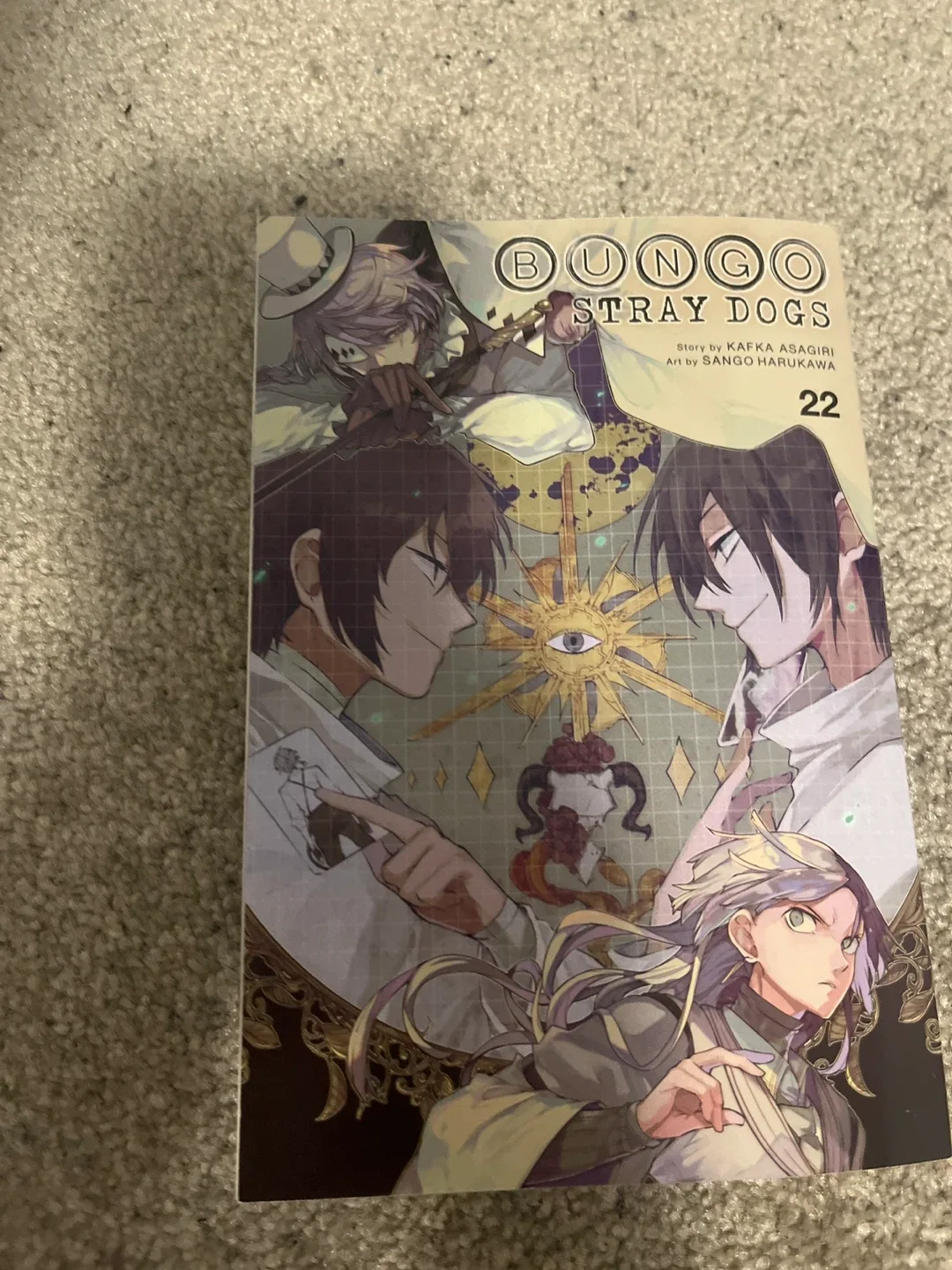 Bungo Stray Dogs Manga - Volumes 1, 3, 18, 22 image indicator(5)