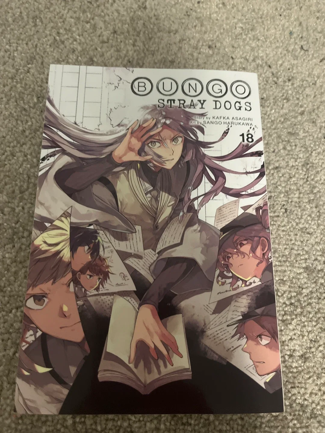 Bungo Stray Dogs Manga - Volumes 1, 3, 18, 22 image indicator(4)