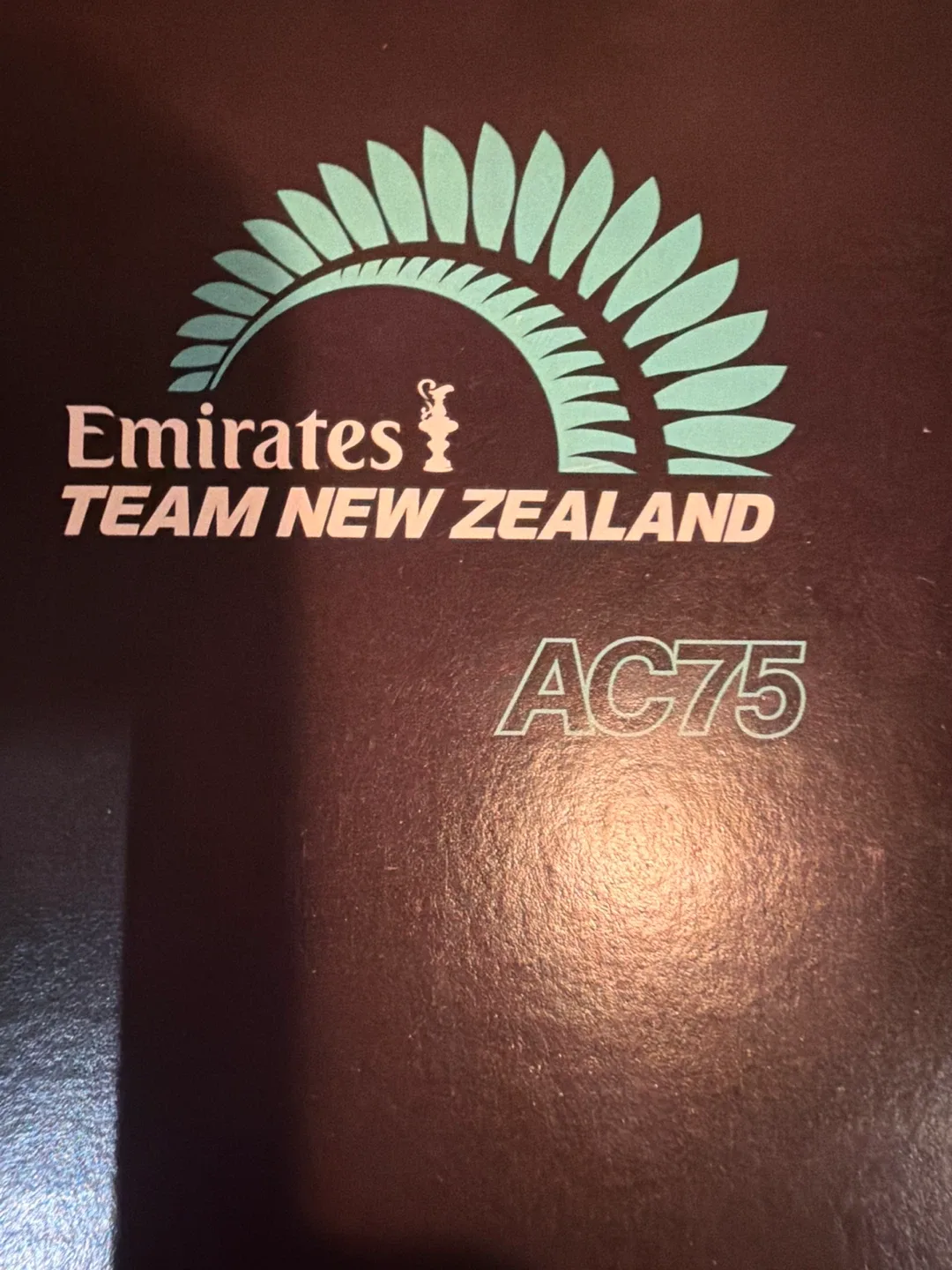 LEGO Technic Emirates Team New Zealand AC75 Yacht 42174 image indicator(5)