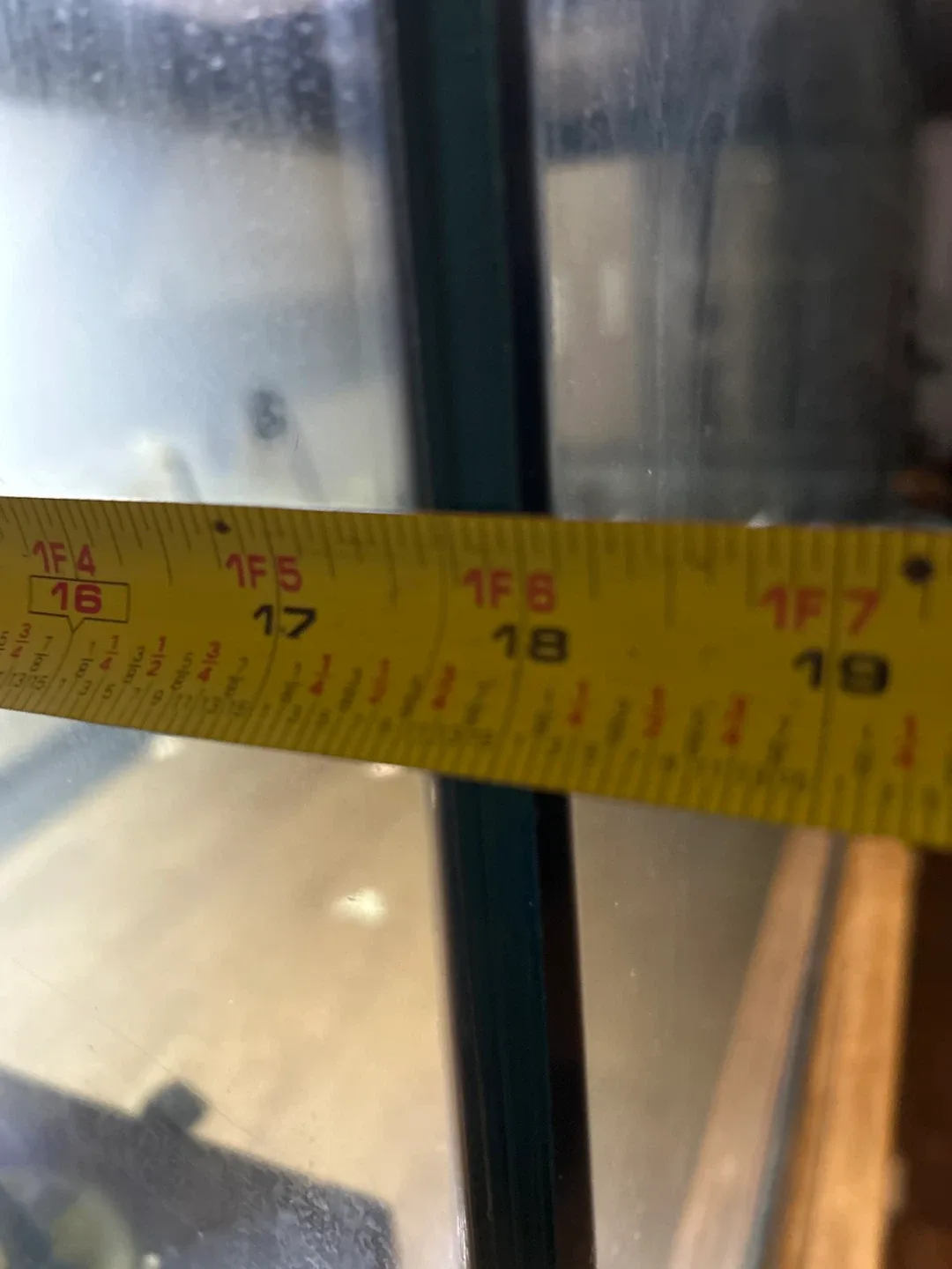 75gal tank and turtle 🥕 image indicator(7)