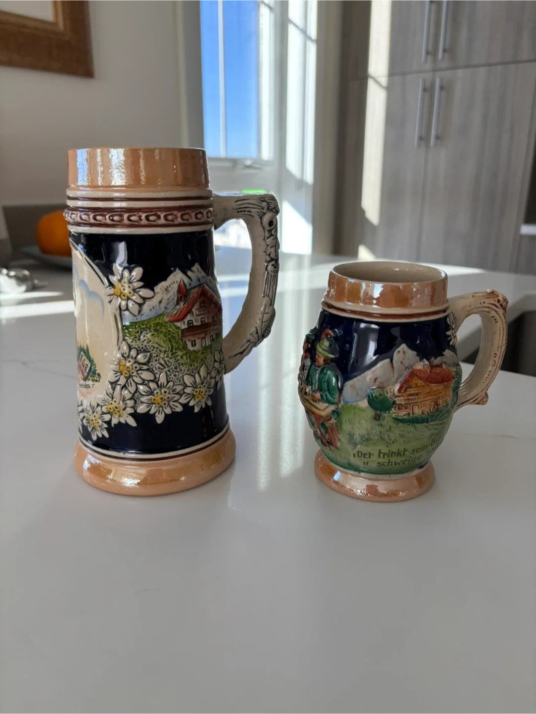 Vintage West Germany Beer Stein Set