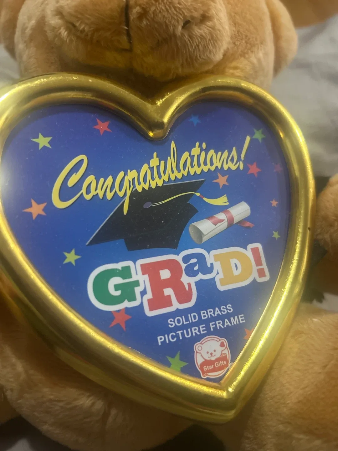 Graduation Bear 🥕 image indicator(3)