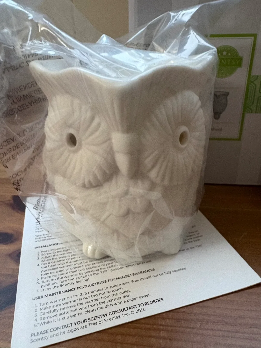 Scentsy Mini Wax Warmer - Whoot 🥕 image indicator(3)