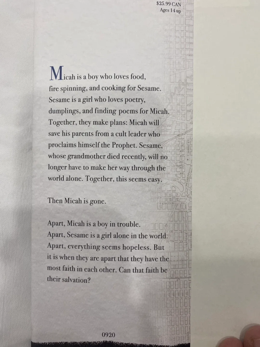 Where We Are by Alison McGhee image indicator(3)