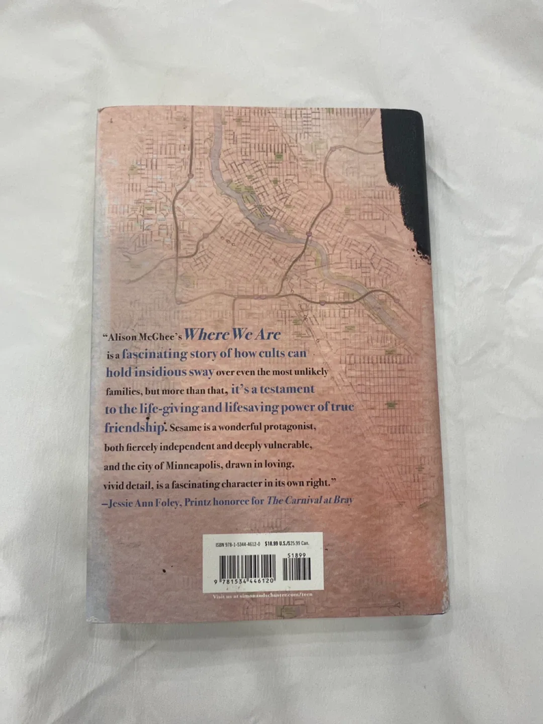 Where We Are by Alison McGhee image indicator(2)