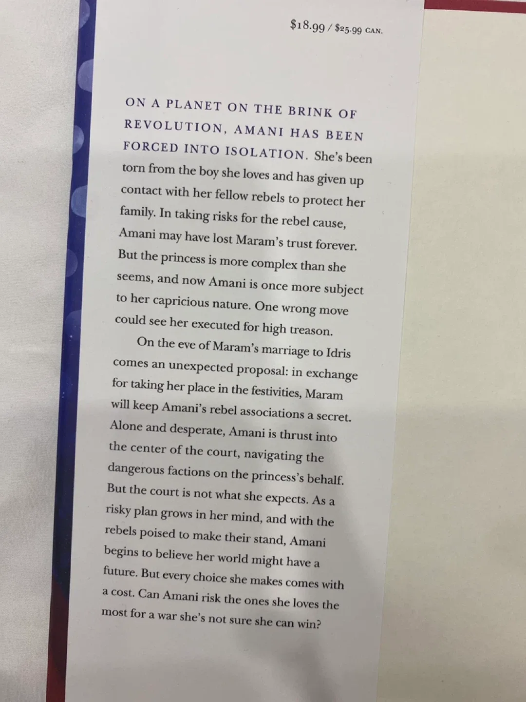 Court of Lions by Somaiya Daud image indicator(3)