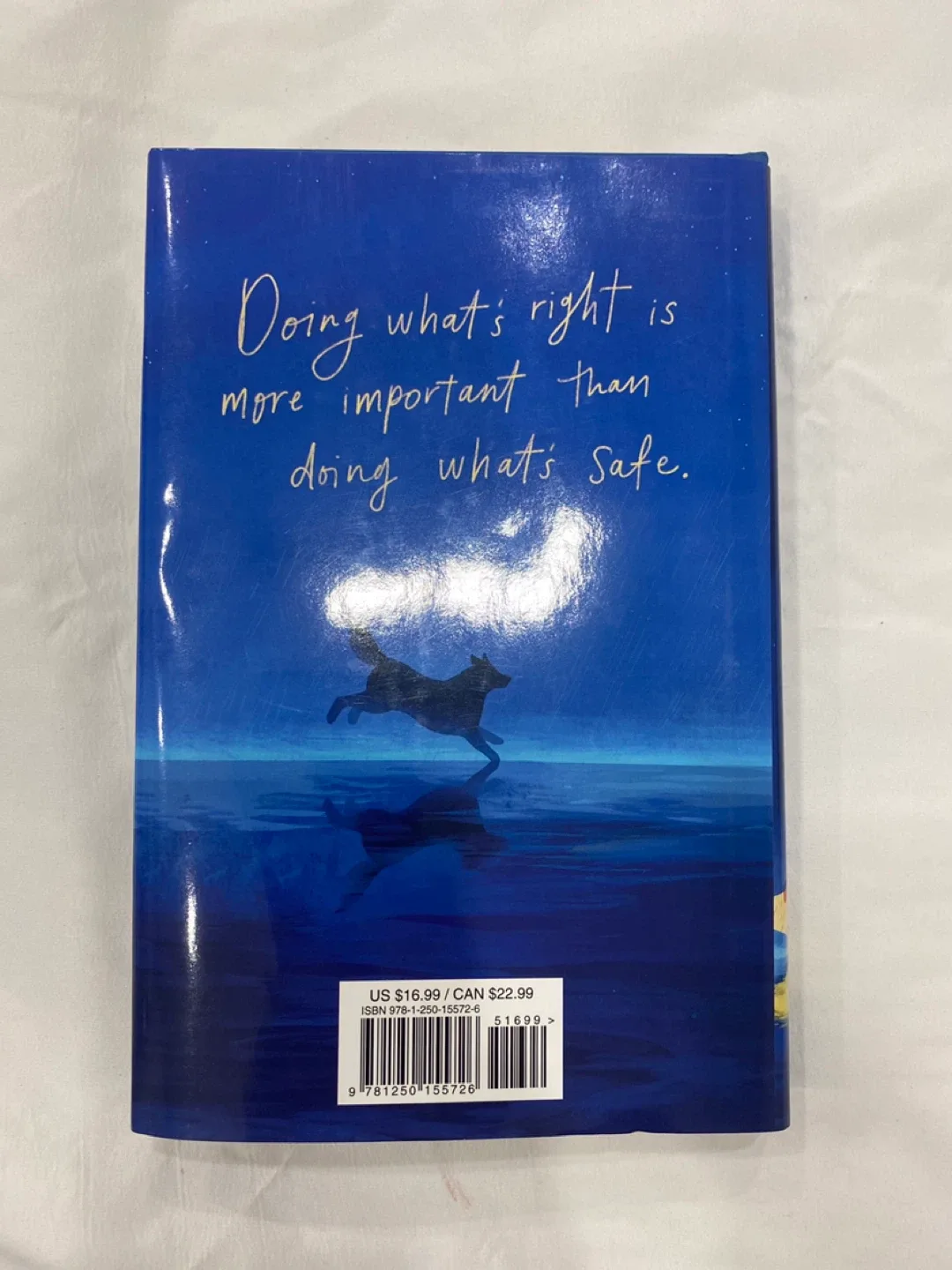 The Invisible Boy by Alyssa Hollingsworth image indicator(2)