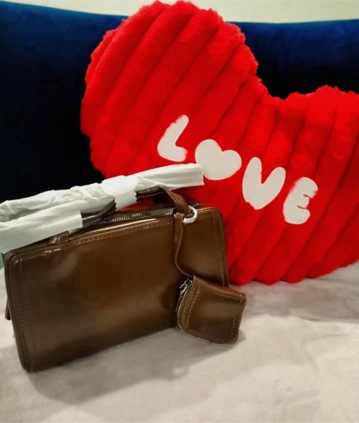 Brown Handbag with Coin Purse