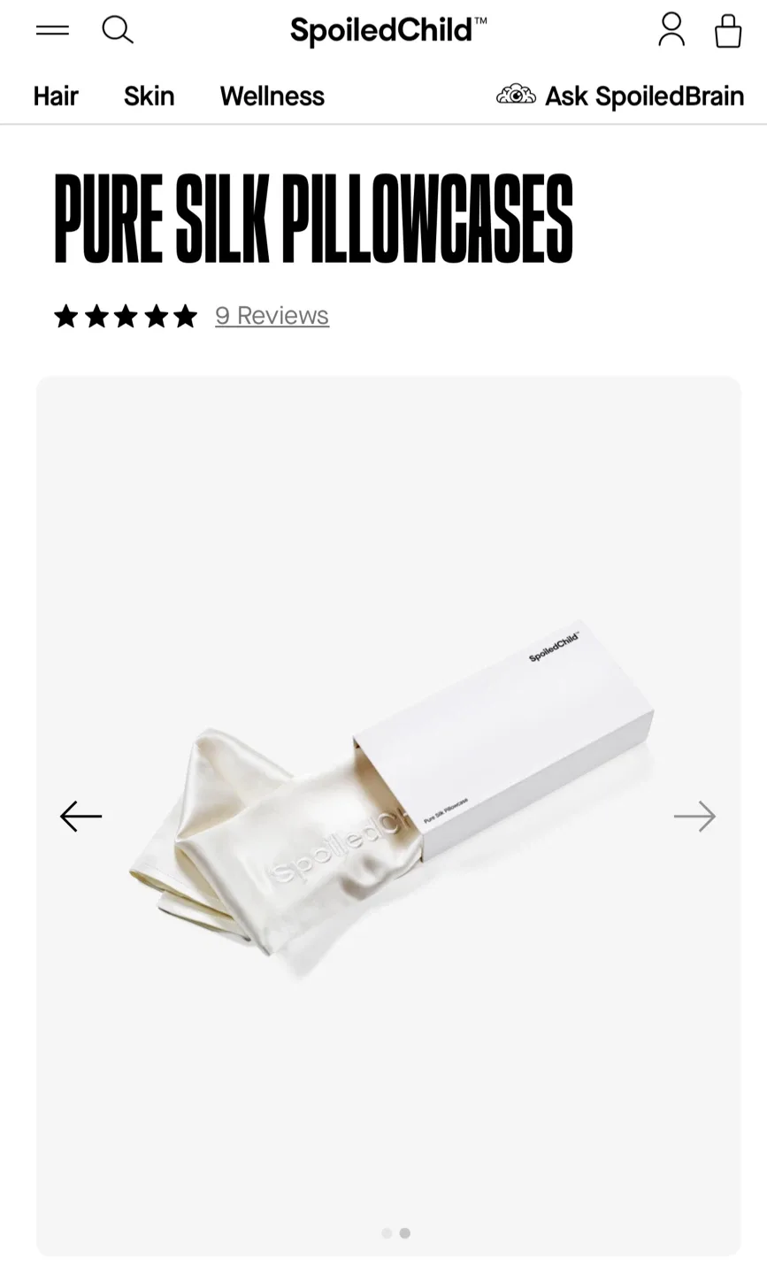 🥕 Pair of SpoiledChild Pure Silk Pillowcase - New in Box image indicator(2)