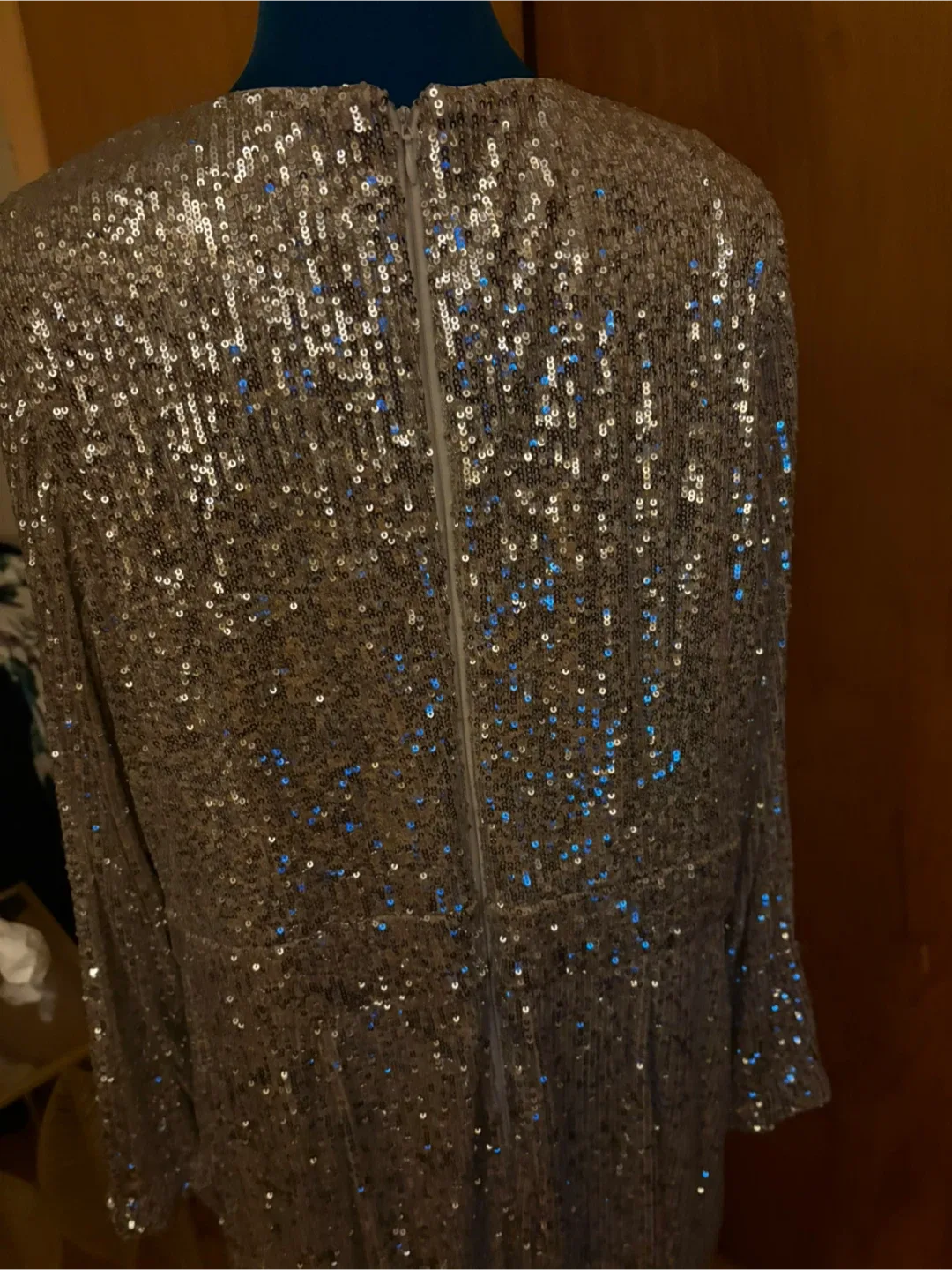 Sequin Dress image indicator(3)