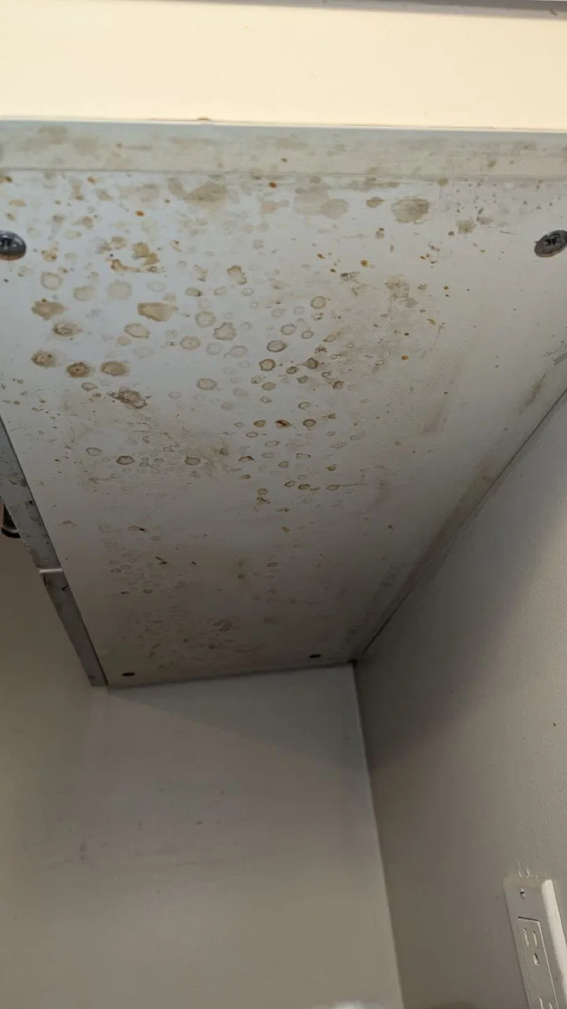 Deep Cleaning Services – Thorough & Reliable