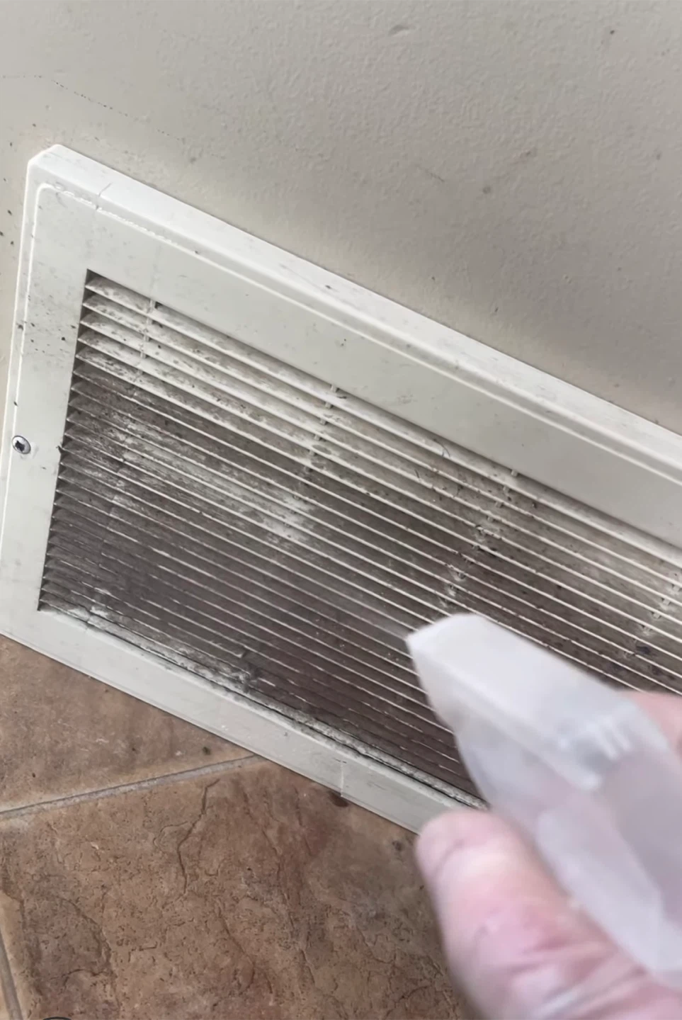 Move-In / Move-Out Cleaning Services - photo 5