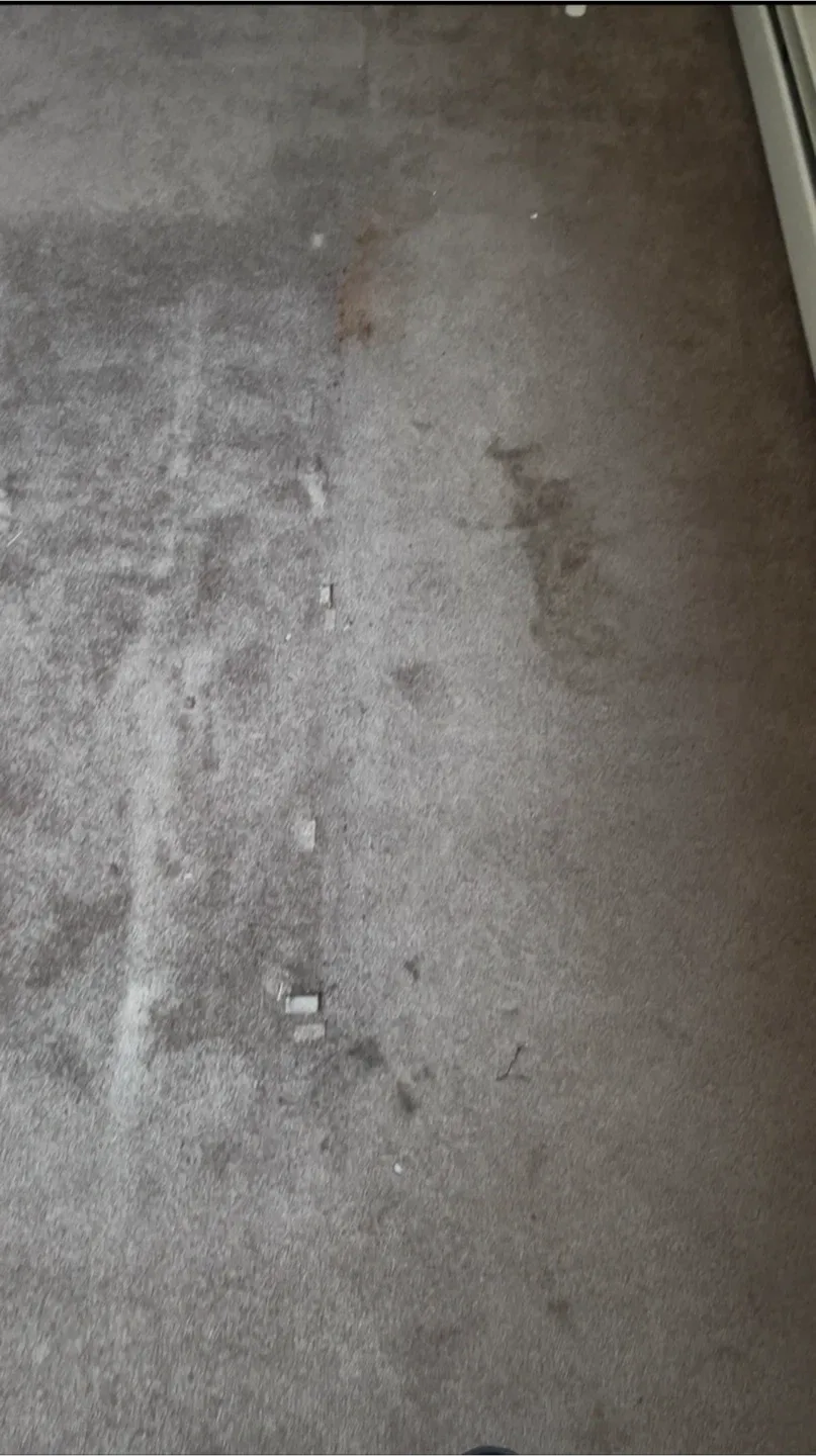 Carpet & Upholstery Cleaning – Stain Removal and Deep Refresh