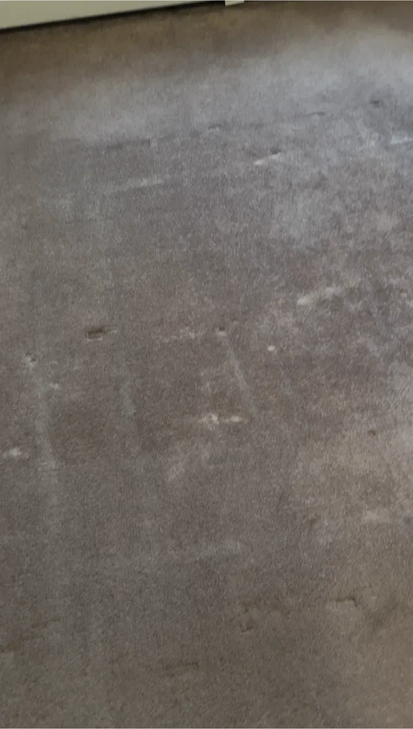 Carpet & Upholstery Cleaning – Stain Removal and Deep Refresh image indicator(2)