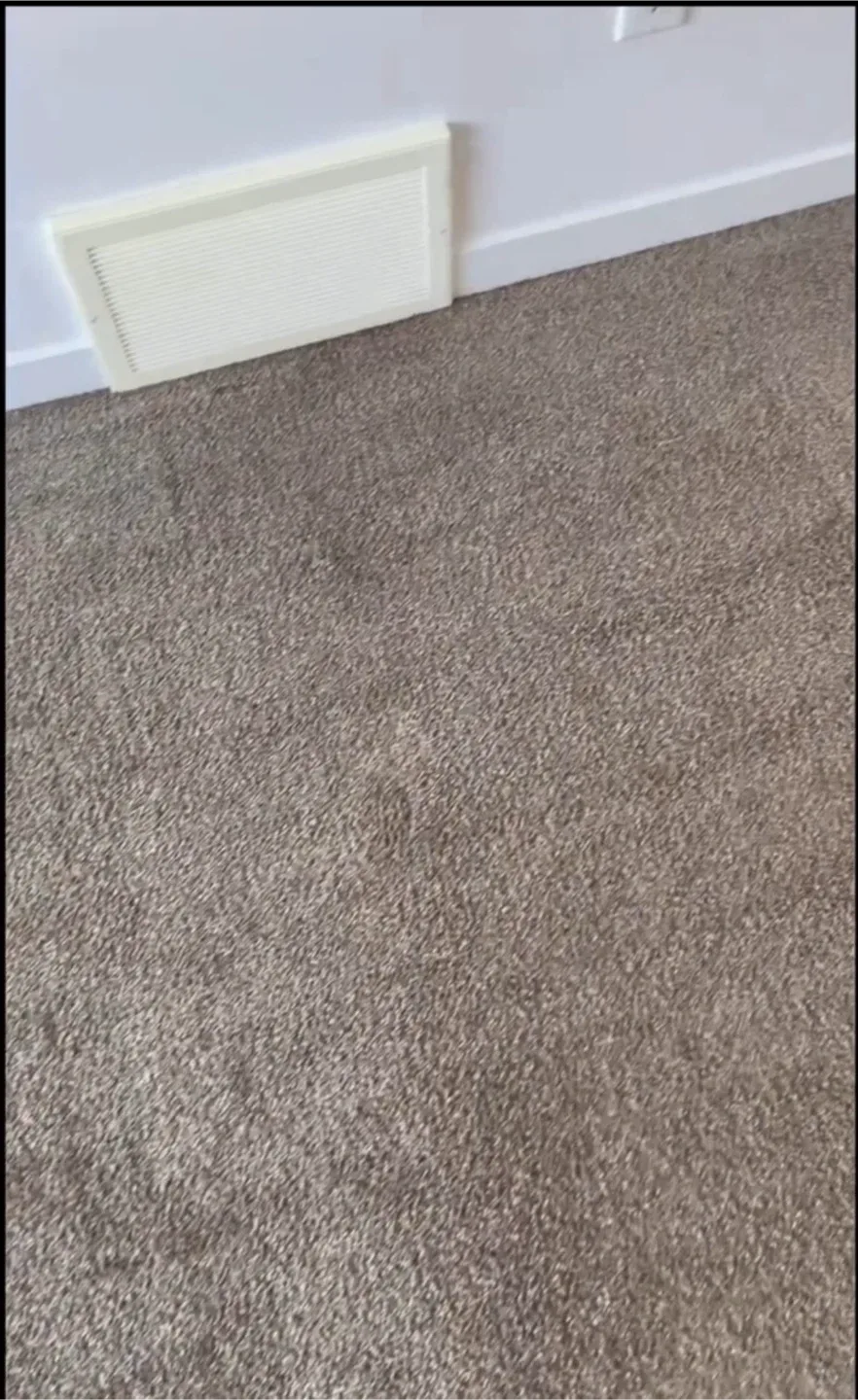 Carpet & Upholstery Cleaning – Stain Removal and Deep Refresh image indicator(4)