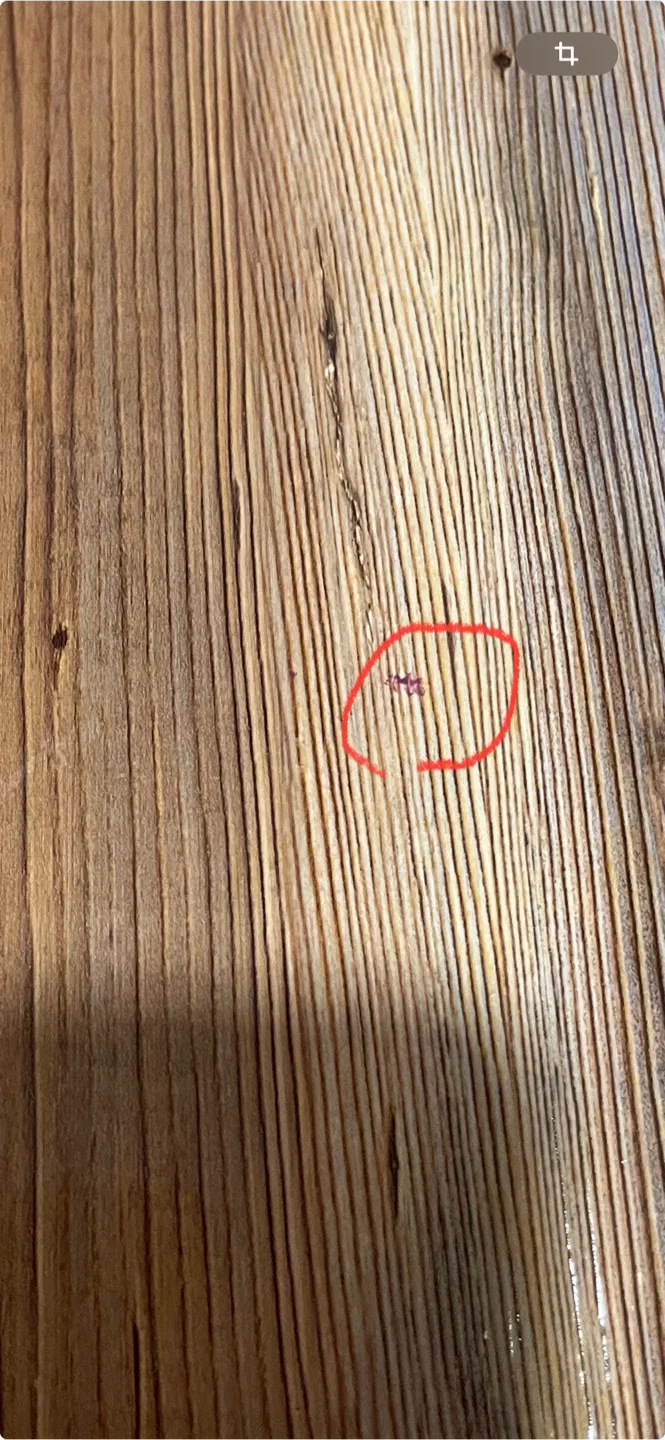 Post-Construction Cleaning service image indicator(2)