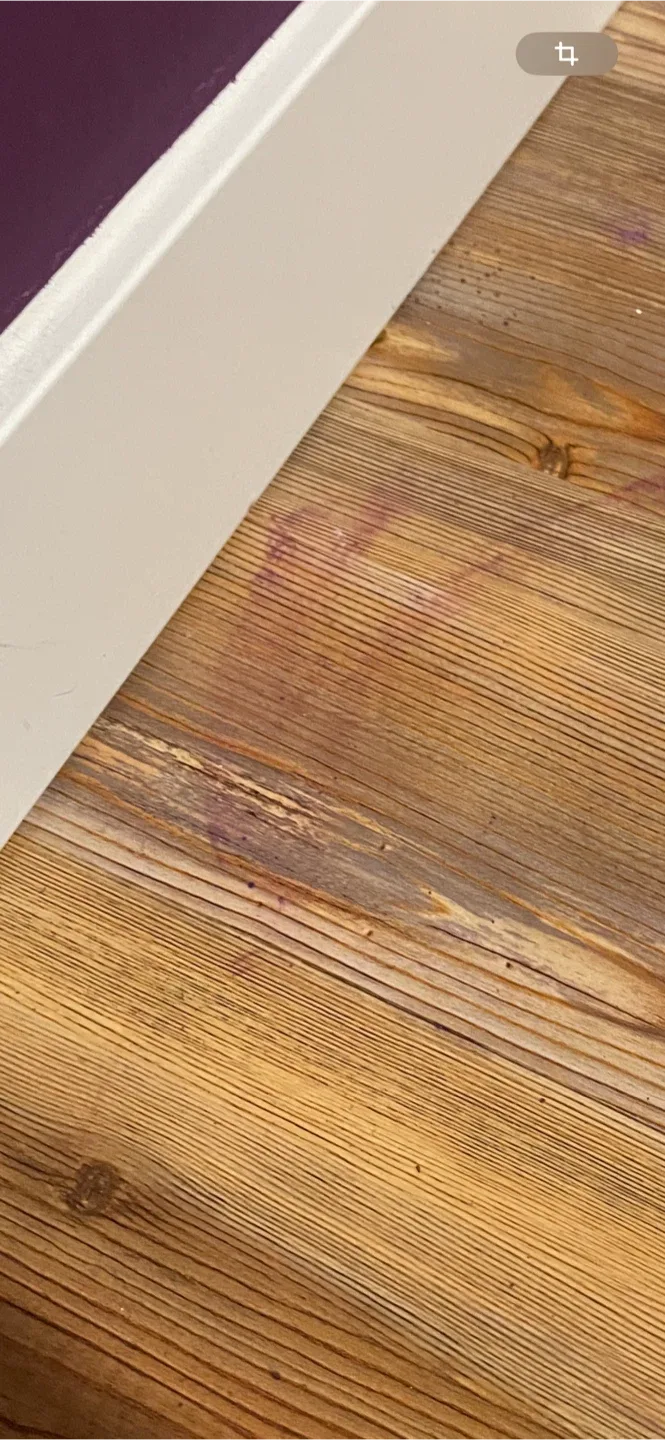 Post-Construction Cleaning service image indicator(5)