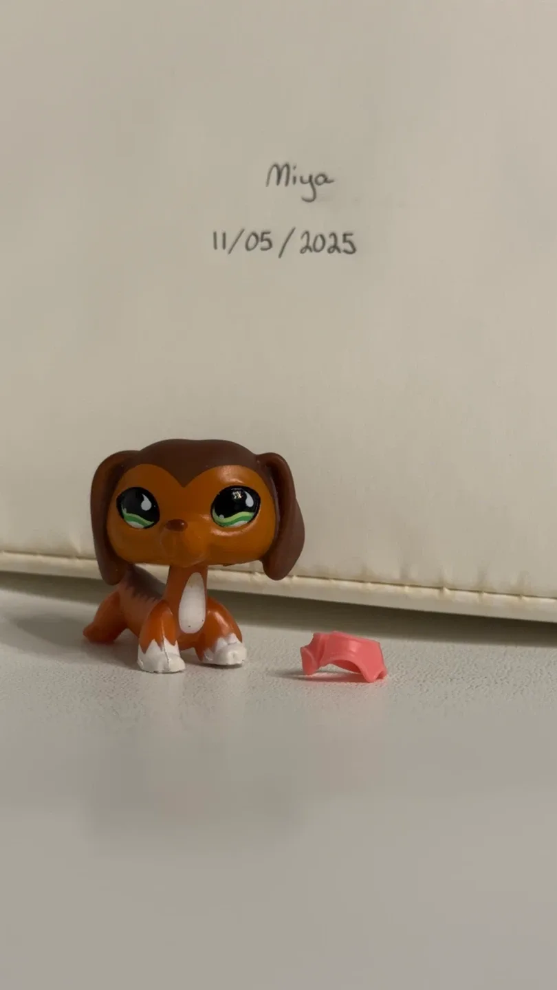 Littlest Pet Shop LPS Dachshund #675 Collectable image indicator(3)