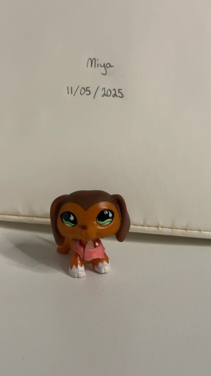 Littlest Pet Shop LPS Dachshund #675 Collectable image indicator(2)