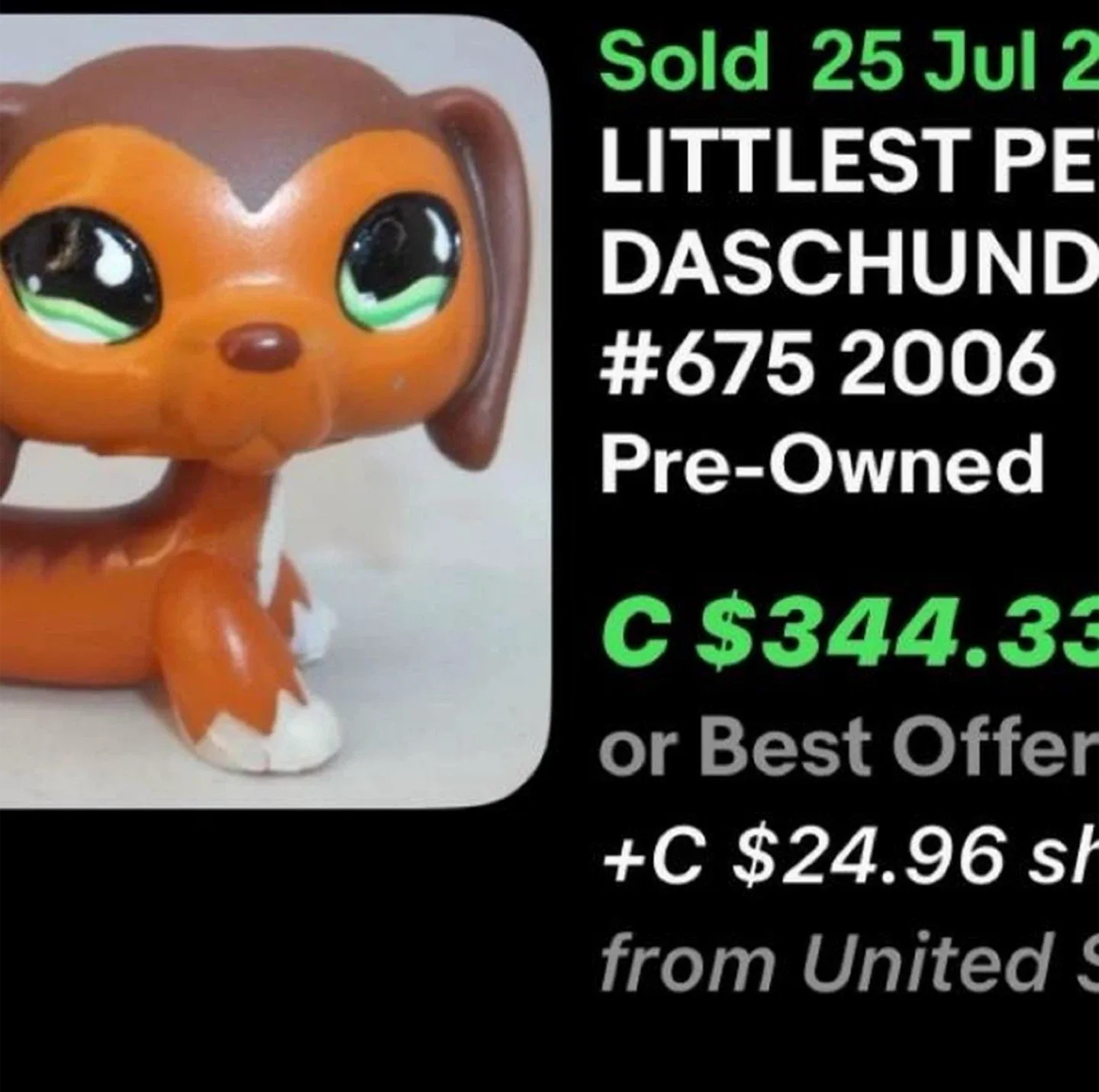 Littlest Pet Shop LPS Dachshund #675 Collectable image indicator(5)