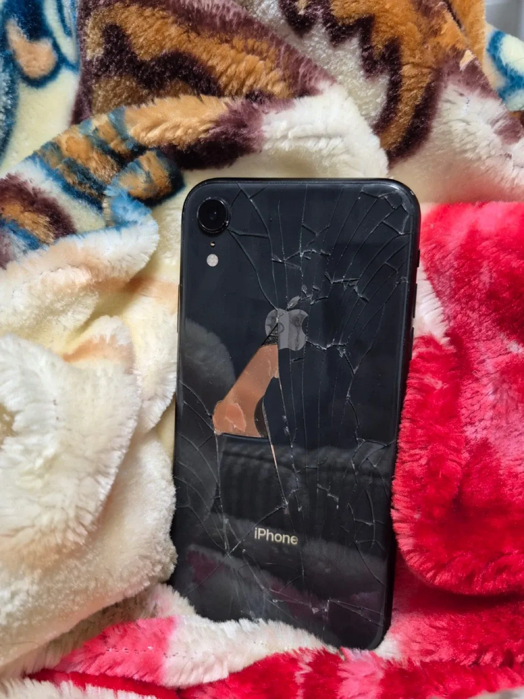 iPhone XR - 64GB image indicator(5)