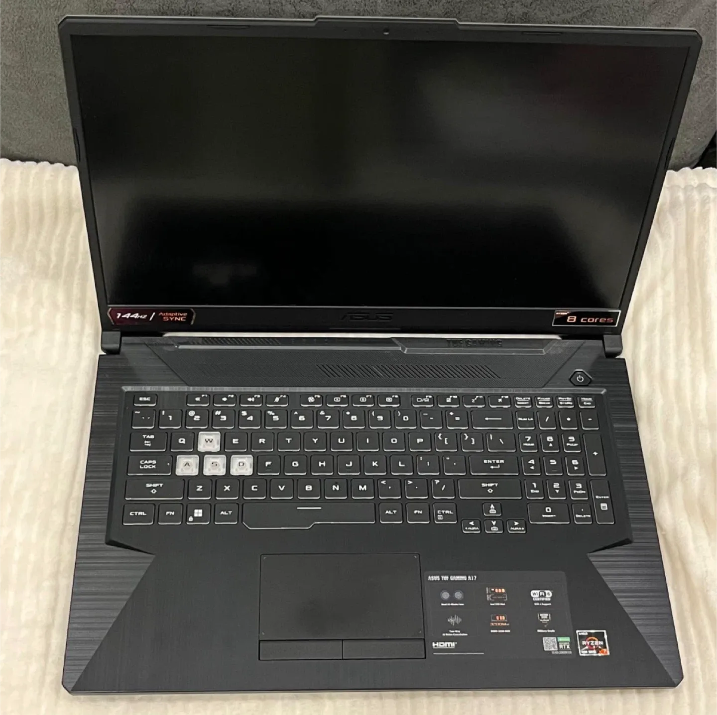 Asus TUF A17 image indicator(3)