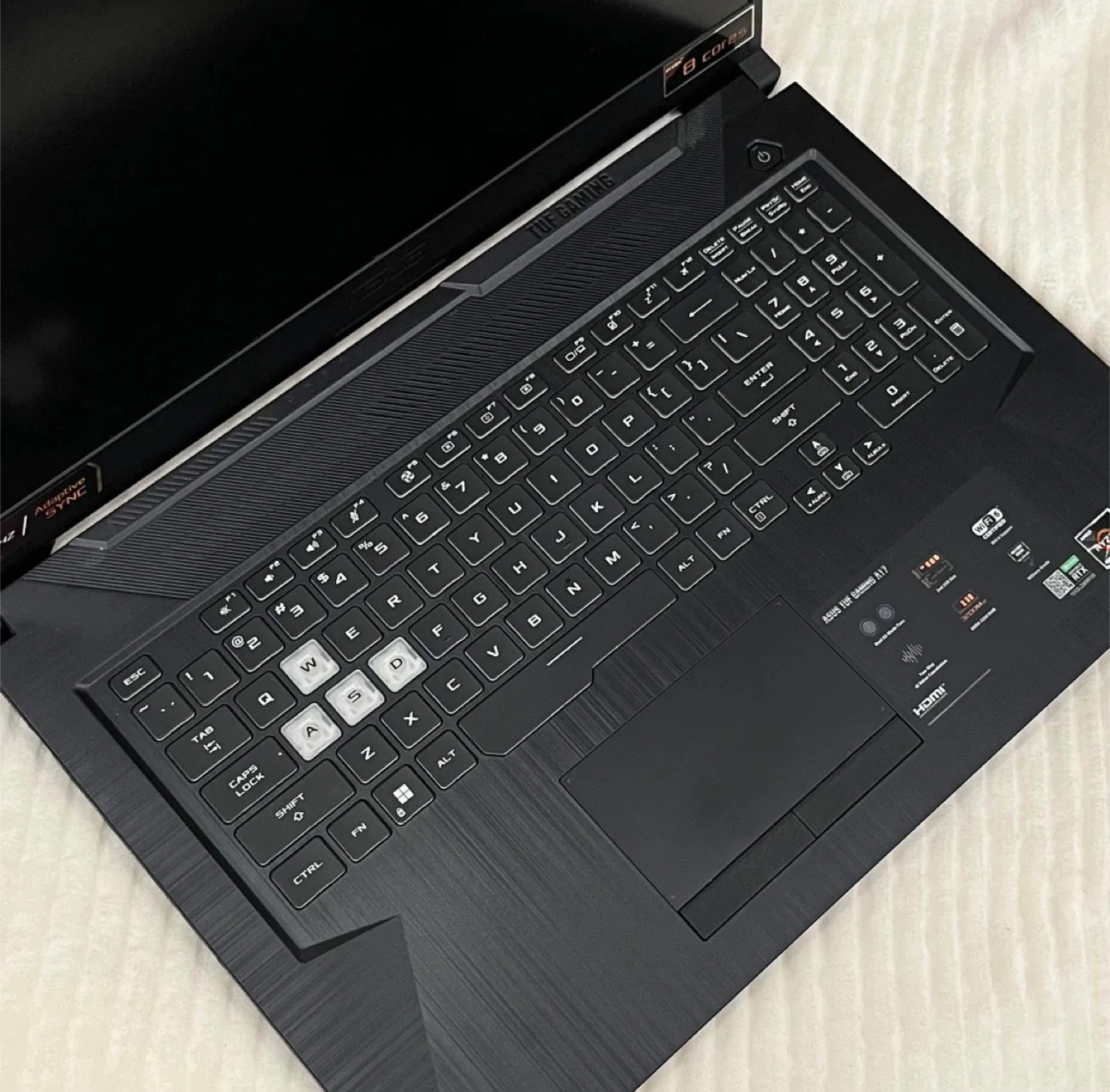 Asus TUF A17 image indicator(5)