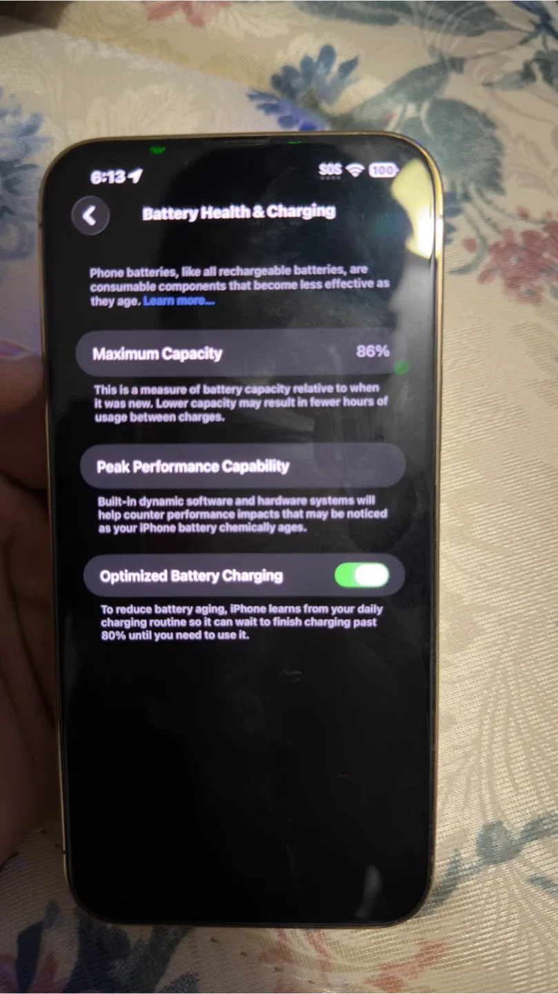 iPhone 13 Pro Max Gold 128GB image indicator(5)