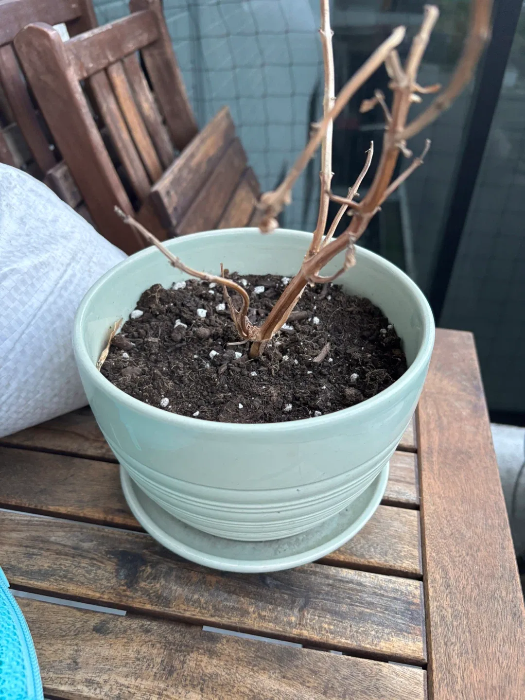 Free Mint Green Ceramic Planter with Saucer image indicator(3)