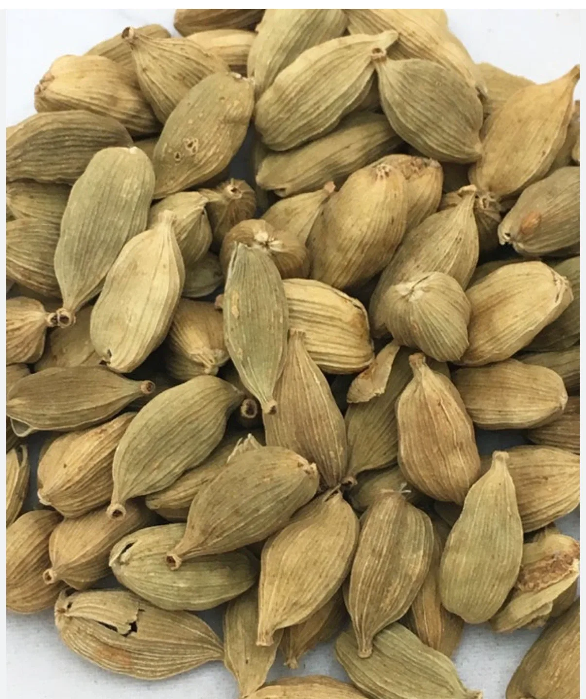 Premium Kilimanjaro Cardamom – $60/kg image indicator(2)