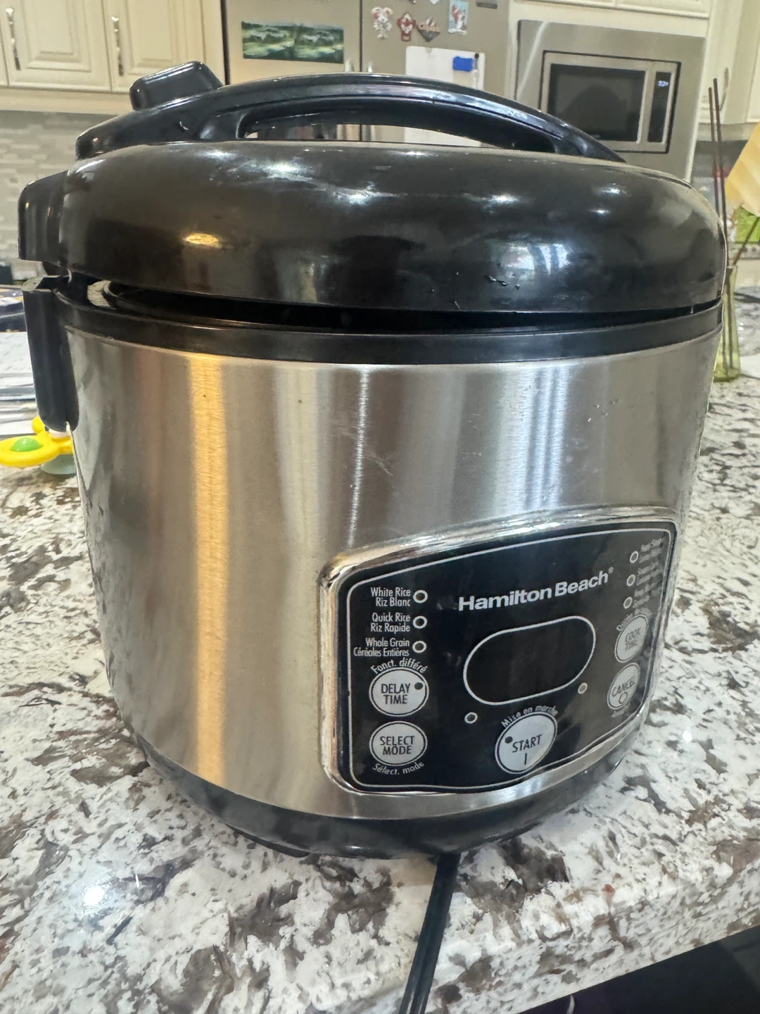 Hamilton Beach Digital Rice Cooker