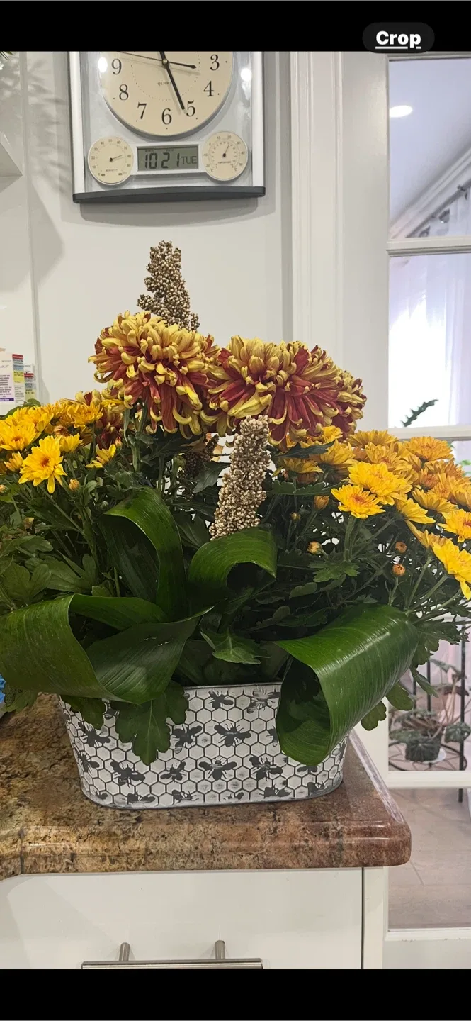 Decorative Bee Patterned Planter for flowers arrangement image indicator(2)