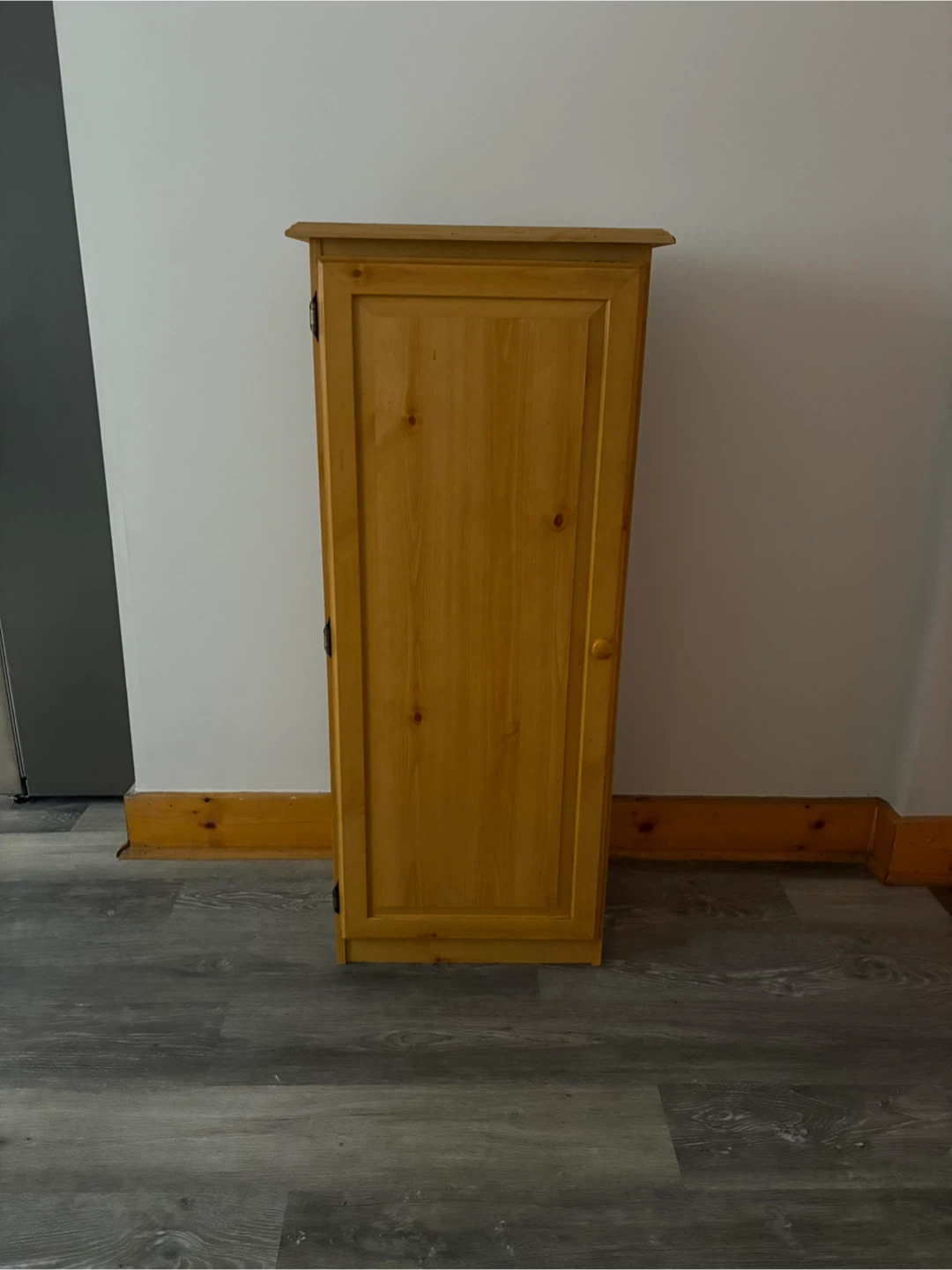 Tall Wood Cabinet – Perfect for DIY, Storage, or Home Reno!