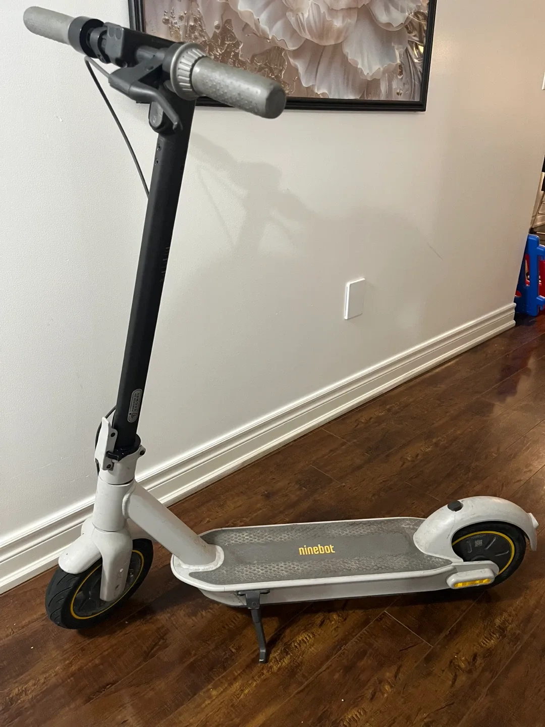 Ninebot Electric Scooter image indicator(2)