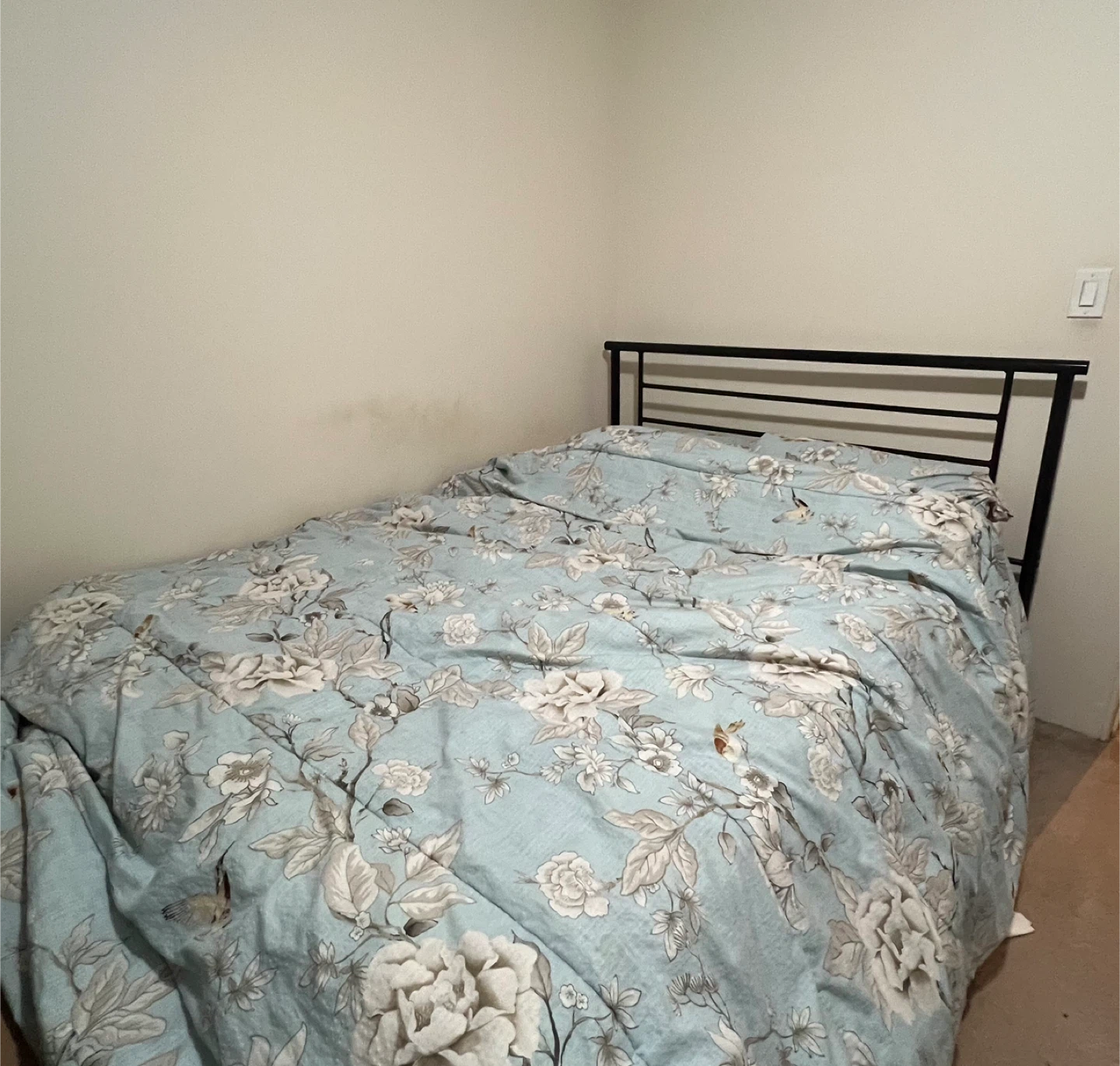 Free queen size bedframe and mattress