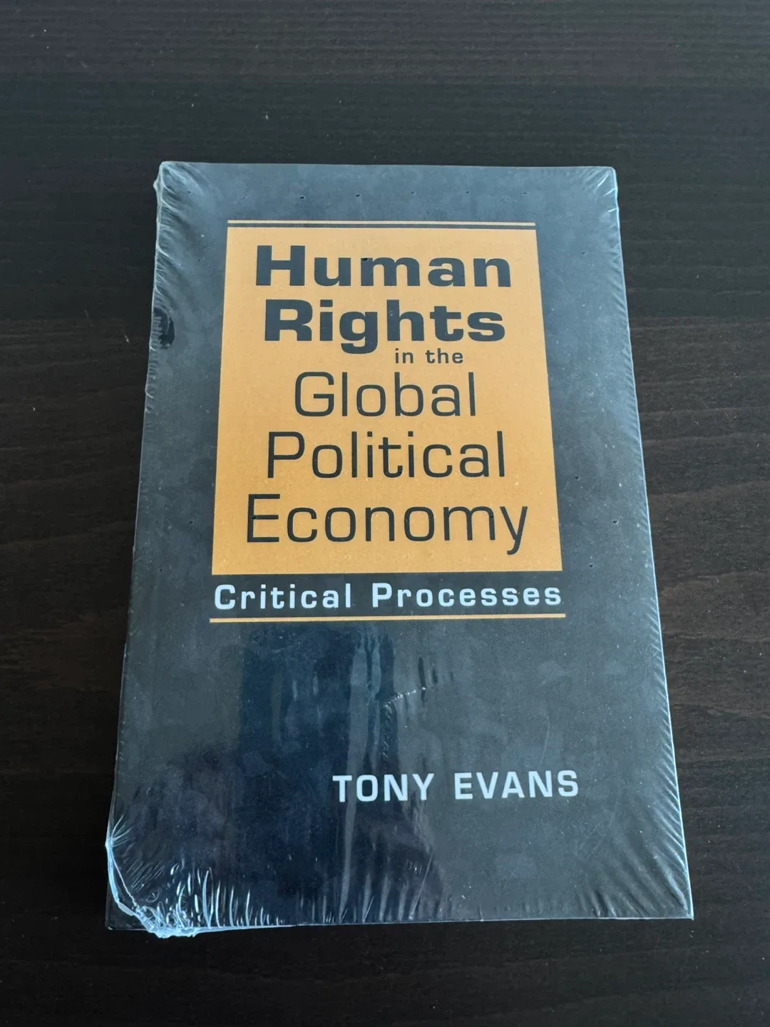 Human Rights in the Global Political Economy Book image indicator(2)