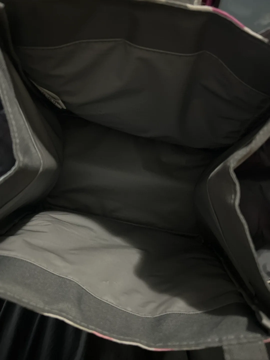 Fit + Fresh insulated lunch bag 🥕 image indicator(2)