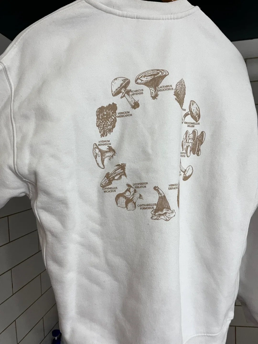 TNA Cozy Fleece Sweatshirt image indicator(2)