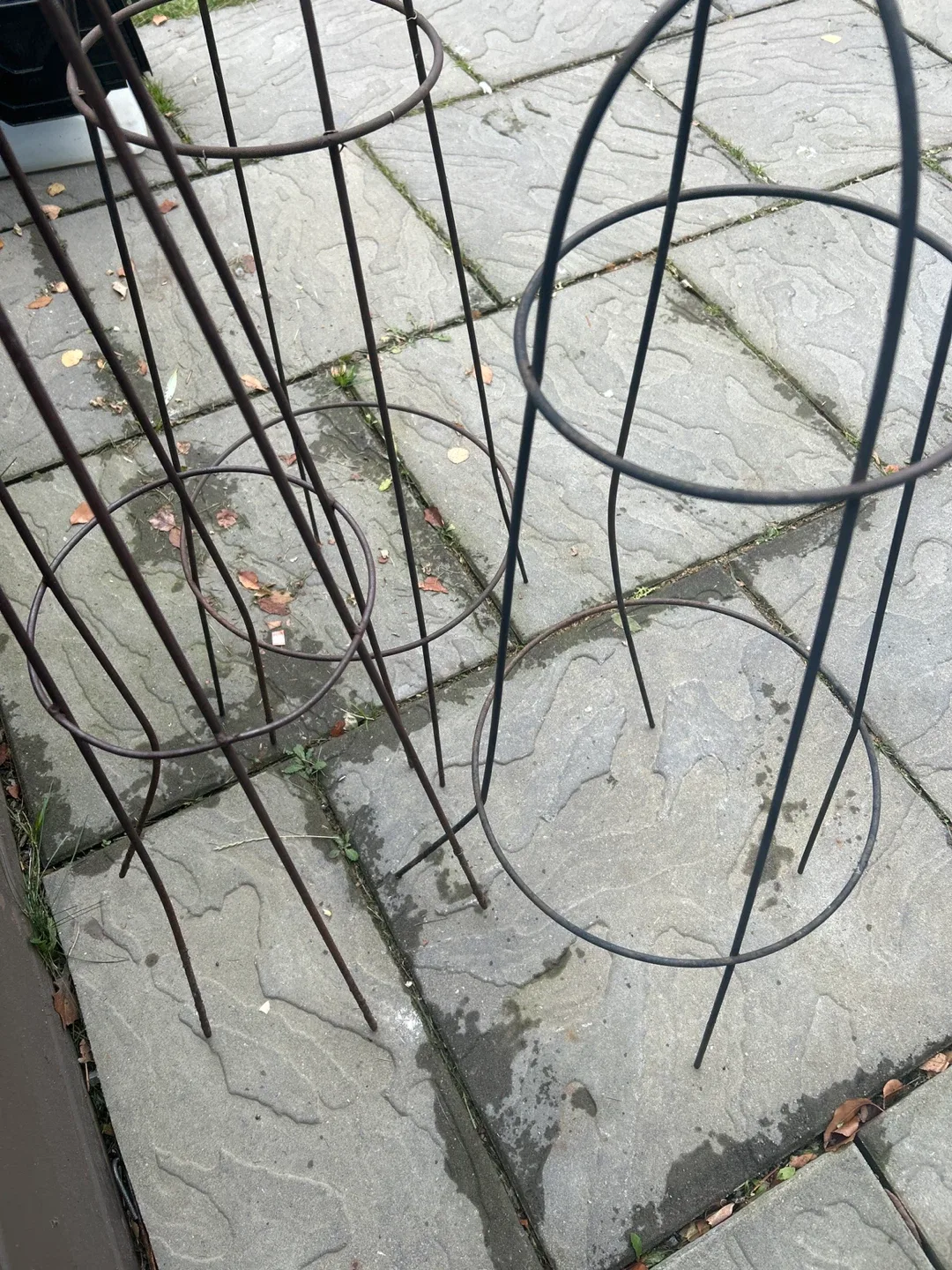 Garden Obelisk & Tomato Cage Set🥕 image indicator(2)