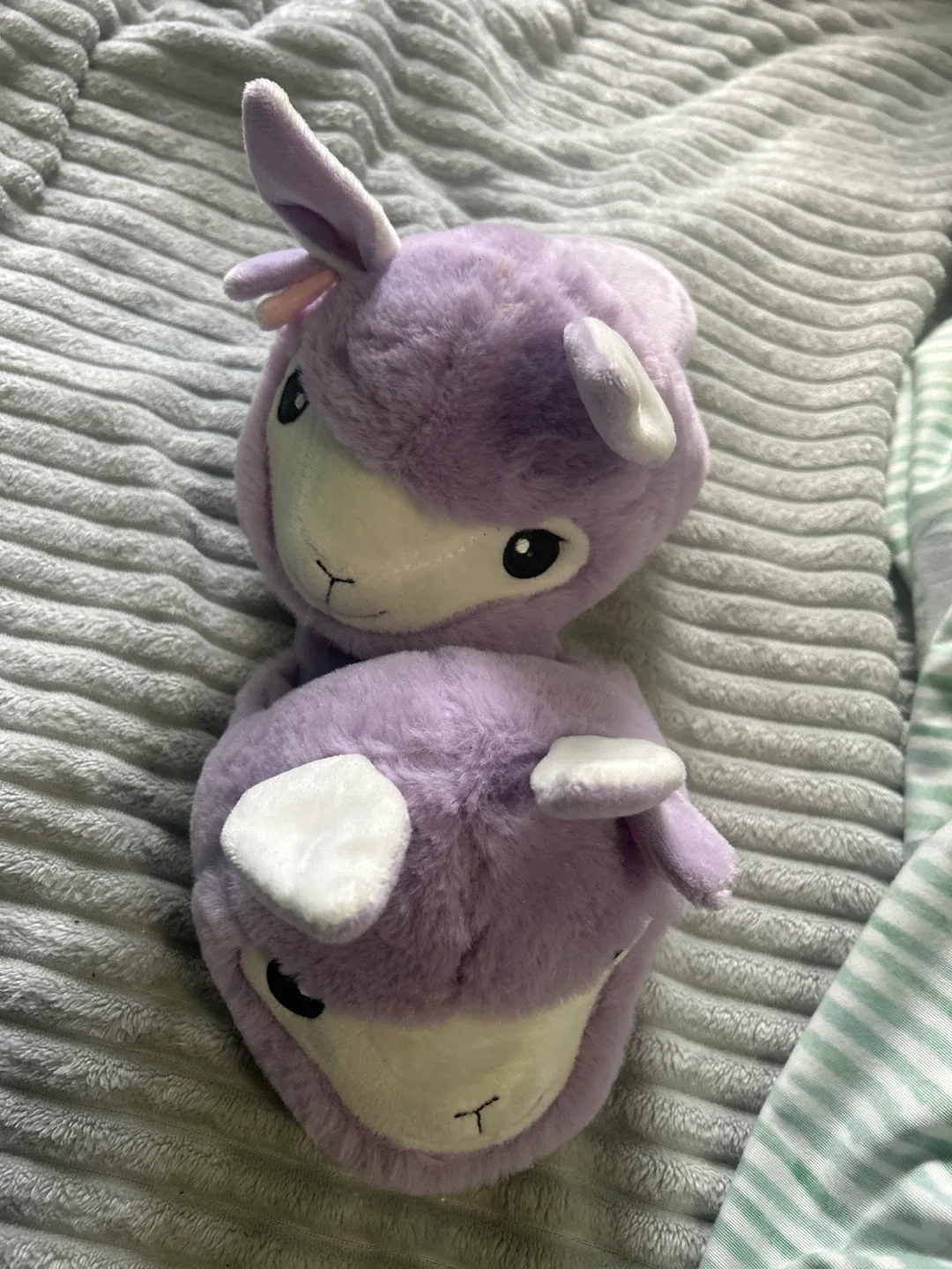 Regalando image indicator(4)