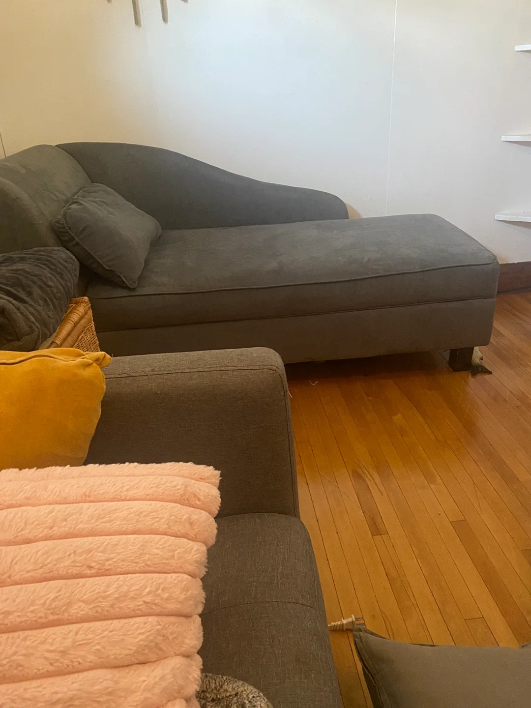 Grey Chaise Lounge with Pillow image indicator(2)