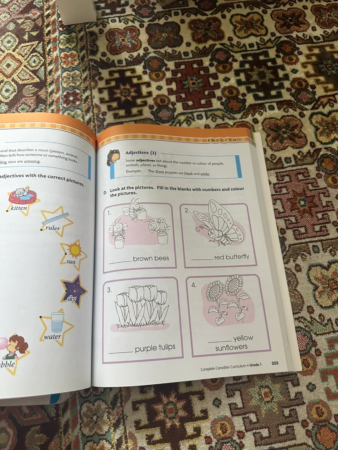 Complete Canadian Curriculum Grade 1 image indicator(2)