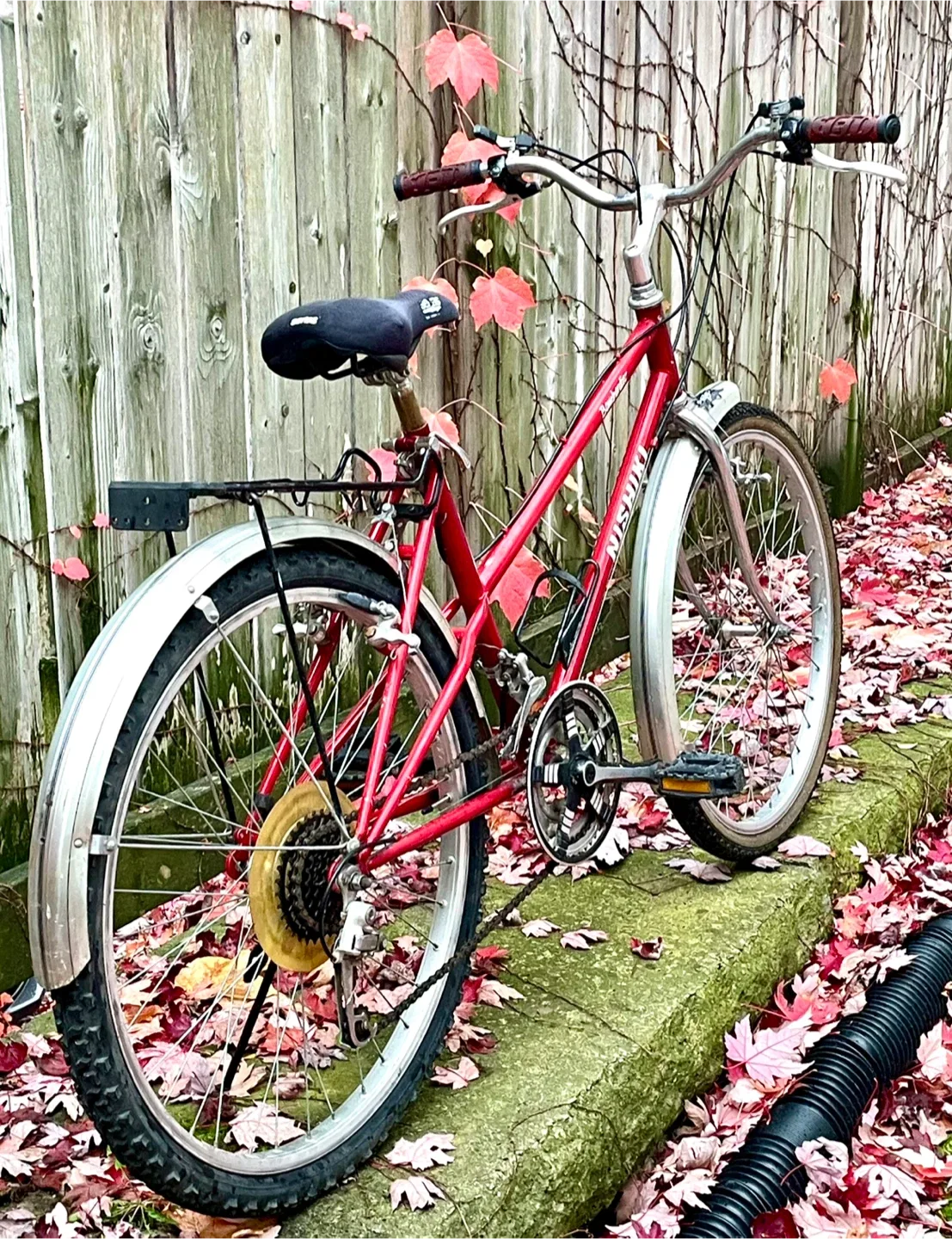 Sweet! Safe Solid Vintage 12 speed Nishiki bike. Quality build. image indicator(8)