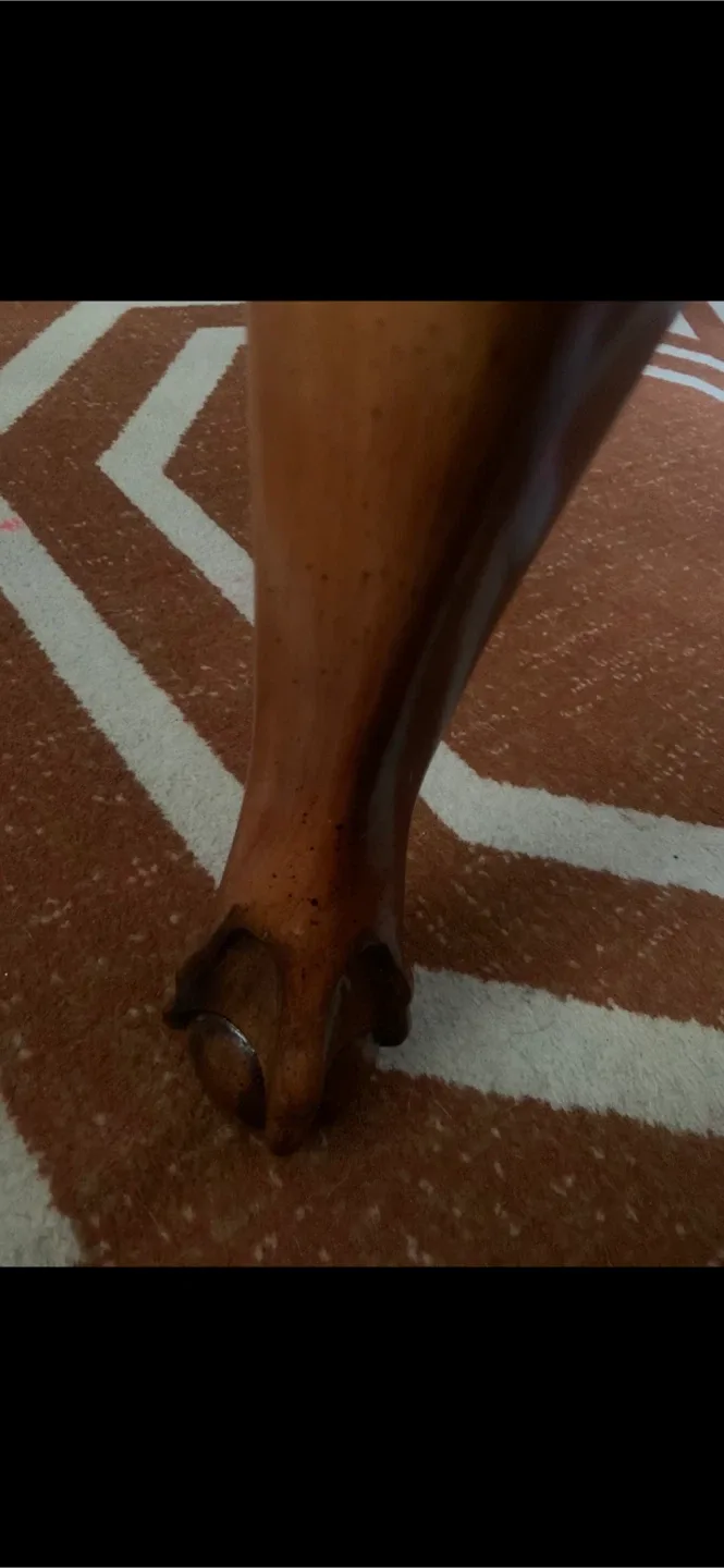 Ornate Wooden Coffee Table image indicator(6)