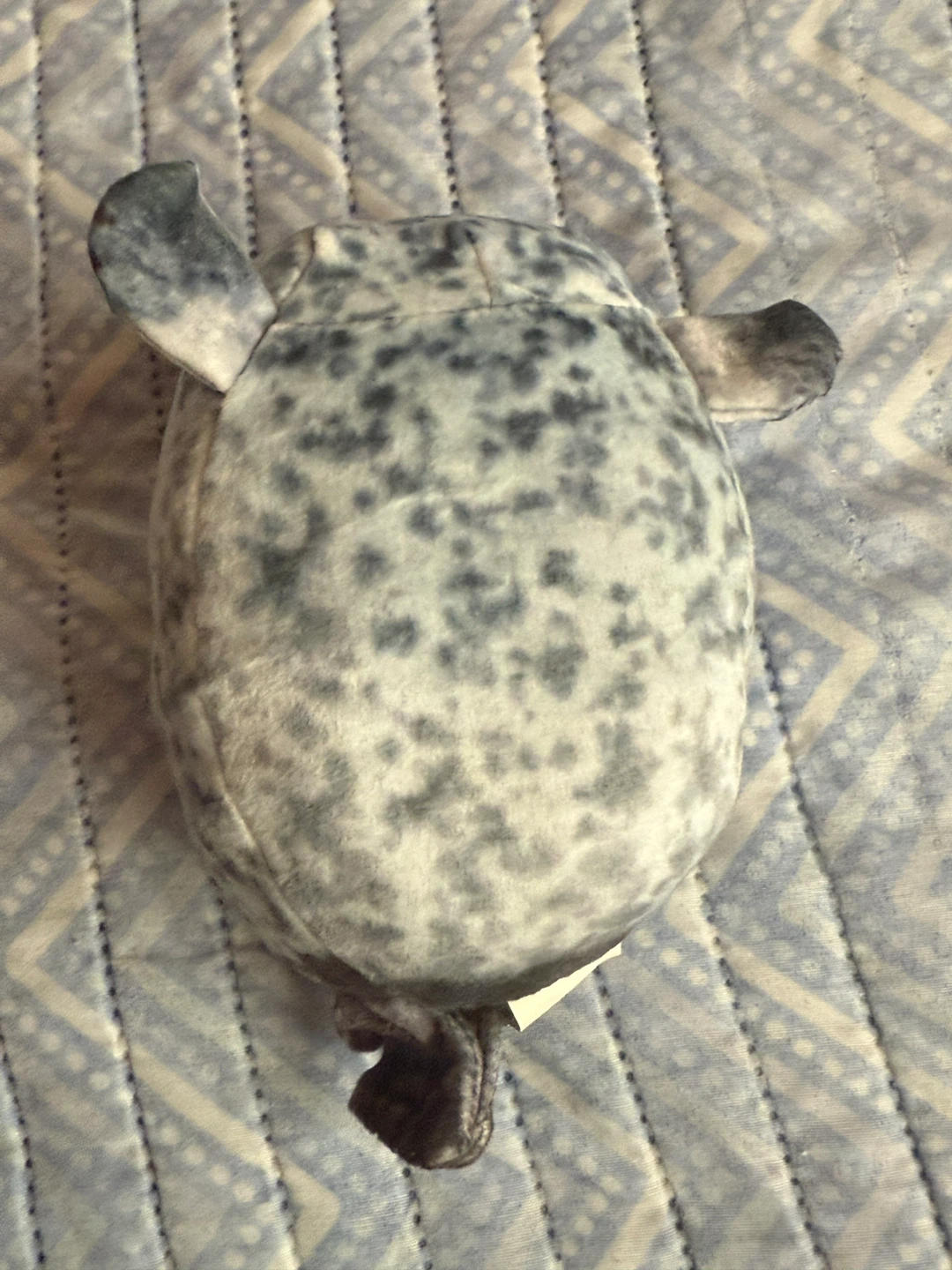 Small Seal Plush - photo 2