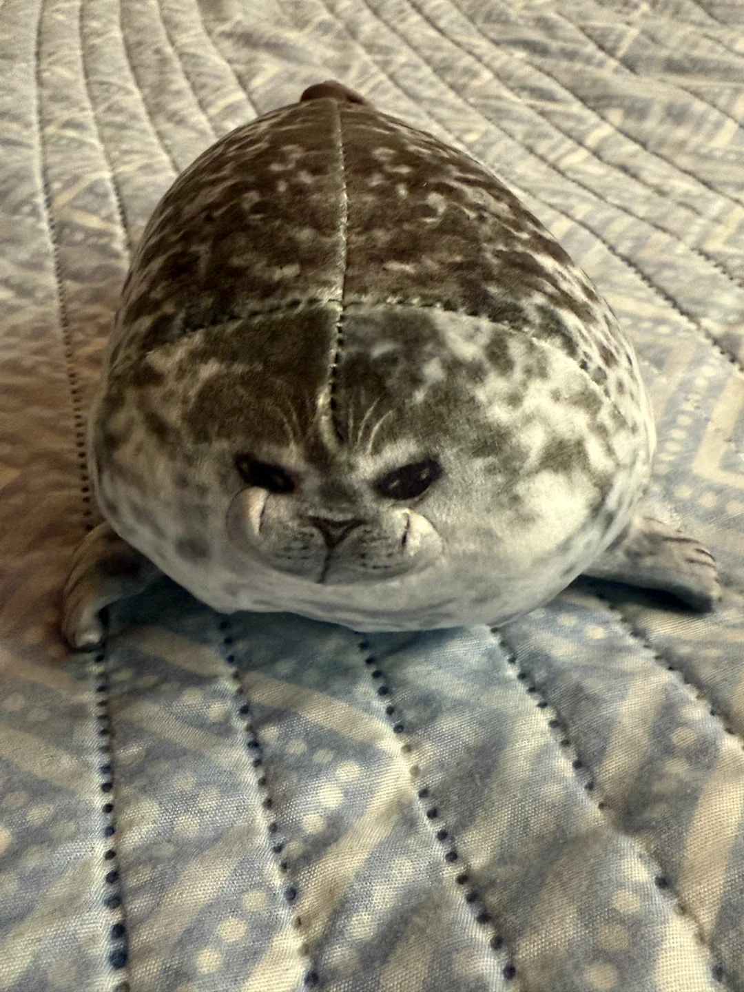 Small Seal Plush